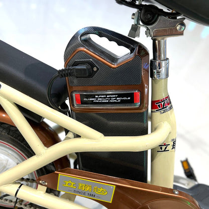 T8 Electric Delivery express Bicycle  electric bike Electric bicycle