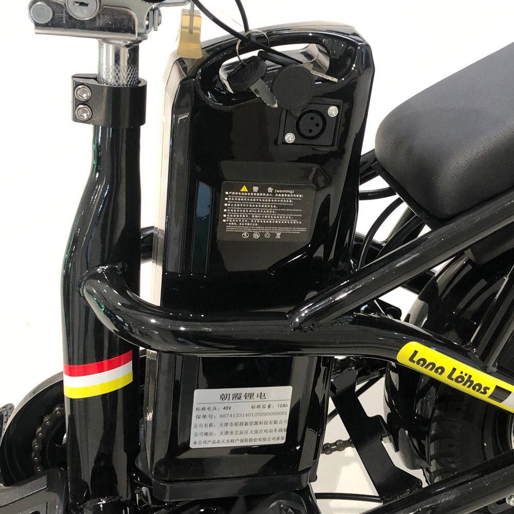 T8 Electric Delivery express Bicycle  electric bike Electric bicycle