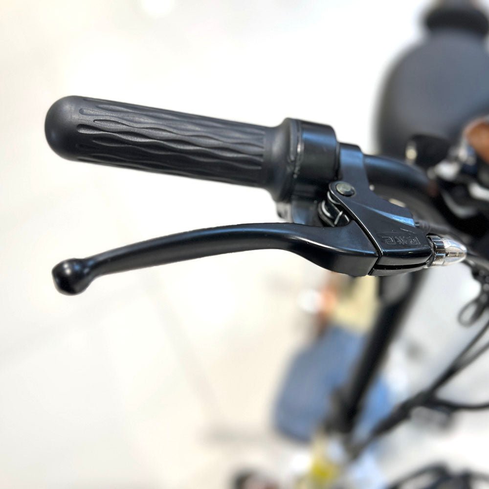 T8 Electric Delivery express Bicycle  electric bike Electric bicycle