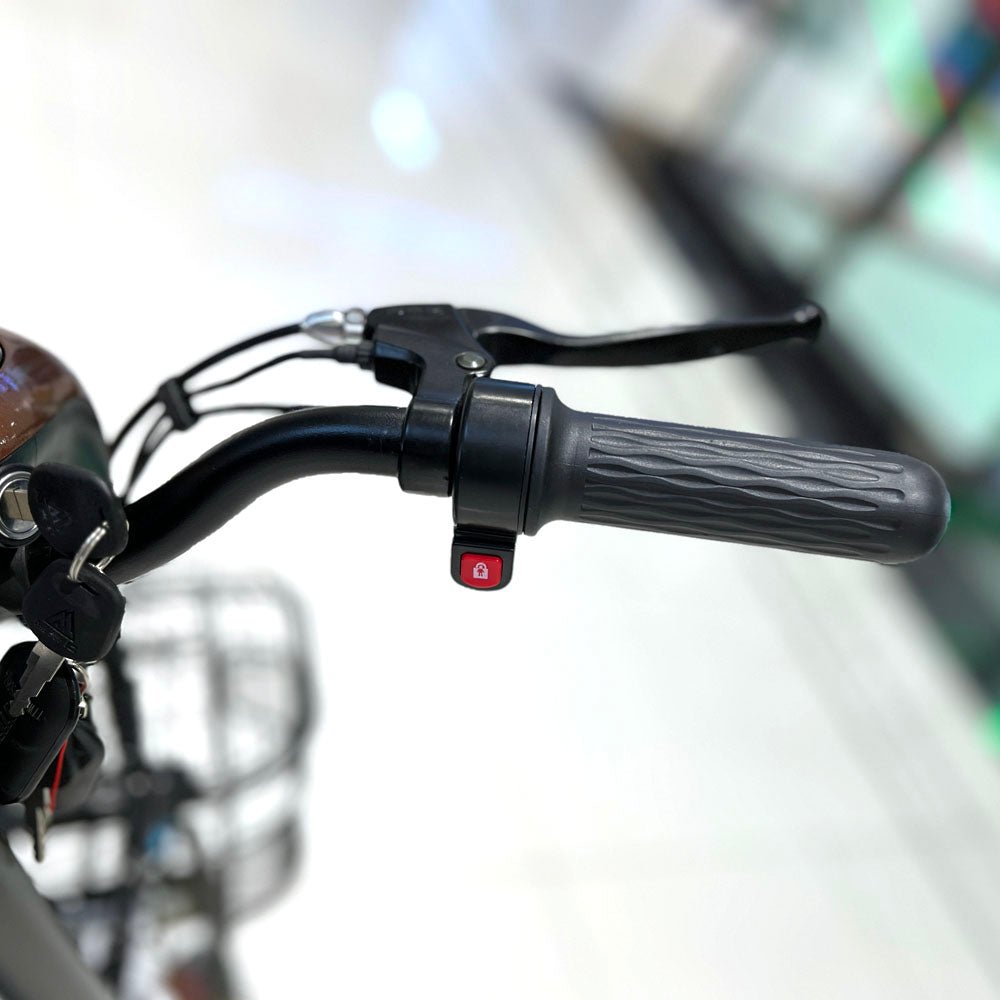 T8 Electric Delivery express Bicycle  electric bike Electric bicycle