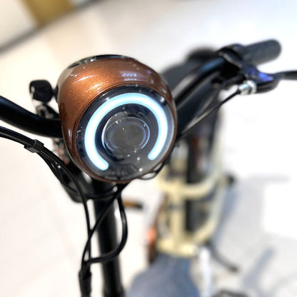 T8 Electric Delivery express Bicycle  electric bike Electric bicycle