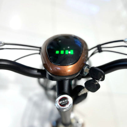 T8 Electric Delivery express Bicycle  electric bike Electric bicycle