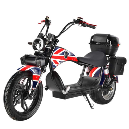 X1  Adult  with 4 Rear Luggage Boxes for Delivery Commute Harley-style motorcycle