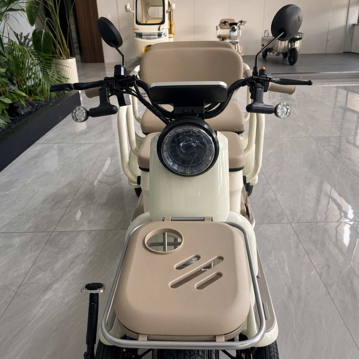 L2 Leisure Electric Tricycle 650W 48V/60V Seat Width 480/680mm 175kg Rated Load 25km/h