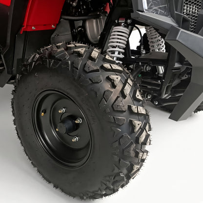 Gamma AS20 ATV 250cc Adult Quad 250cc 4-Stroke 80km/h Top Speed Hydraulic Disc Brake Electric Start