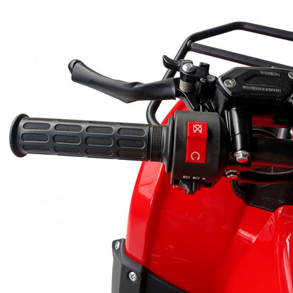 Gamma AS02 ATV 110cc Youth Quad 110cc 4-Stroke 60km/h Top Speed Hydraulic Disc Brake Electric Start Teenagers ATV