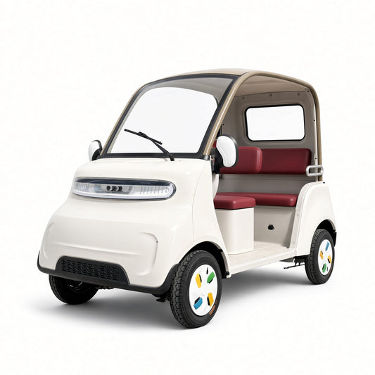 Leisure 4-Wheel Electric Car 800W Dual 18-Tube Controller 3-4 Seater Canopy 50-70km Range