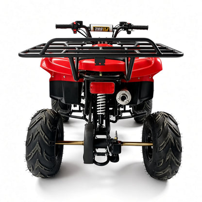 Gamma AS02 ATV 110cc Youth Quad 110cc 4-Stroke 60km/h Top Speed Hydraulic Disc Brake Electric Start Teenagers ATV
