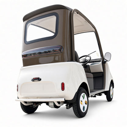Leisure 4-Wheel Electric Car 800W Dual 18-Tube Controller 3-4 Seater Canopy 50-70km Range