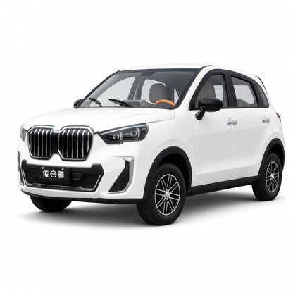 BMW Electric Mini Car Four Seat Electric Vehicle 1500W Motor 60V 72V Battery Urban Mobility Vehicle