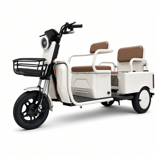 L6 Leisure Electric Tricycle 500W 48V/60V 700×700mm Cargo Box Foldable Seat 175kg Rated L