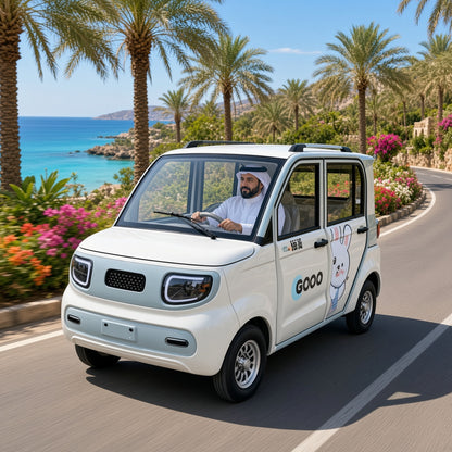 X6 4-Door 4-Seater Electric Mini Car 48V/60V 1000W Motor 80-100km Range for Community Travel