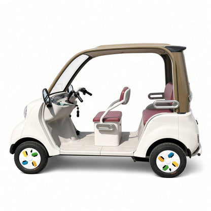Leisure 4-Wheel Electric Car 800W Dual 18-Tube Controller 3-4 Seater Canopy 50-70km Range
