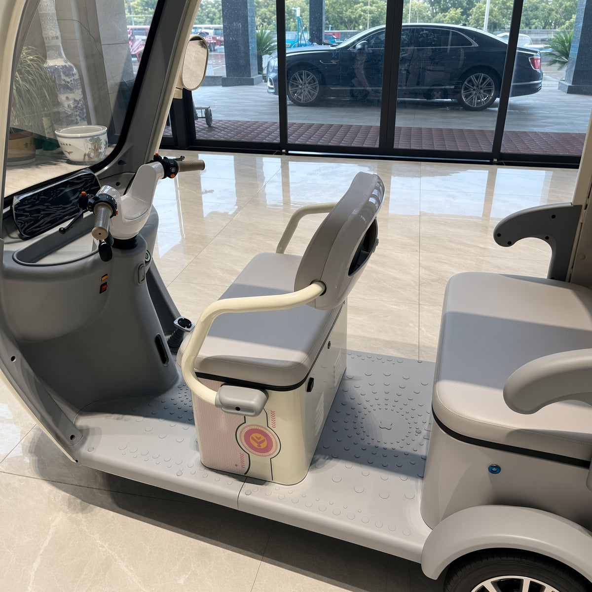 L1 Katie Leisure Electric Tricycle 800W 48V/60V 225kg Rated Load 25km/h