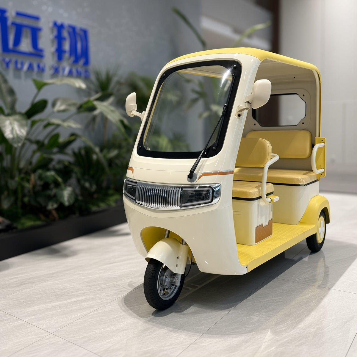 L8 Langxing Leisure Electric Tricycle 800W 48V/60V Front 600mm Rear 900mm Seat 225kg Rated Load
