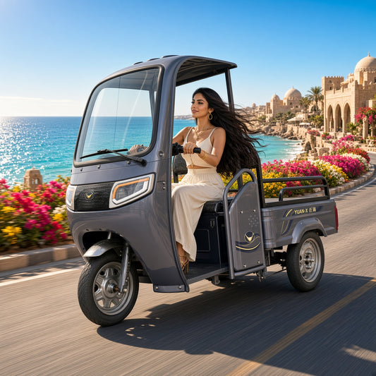 X5-110 Starlight Luxury Flatbed Electric Tricycle 1.1m Cabin 800W 48V/60V 160kg Rated Load