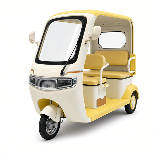 L8 Langxing Leisure Electric Tricycle 800W 48V/60V Front 600mm Rear 900mm Seat 225kg Rated Load