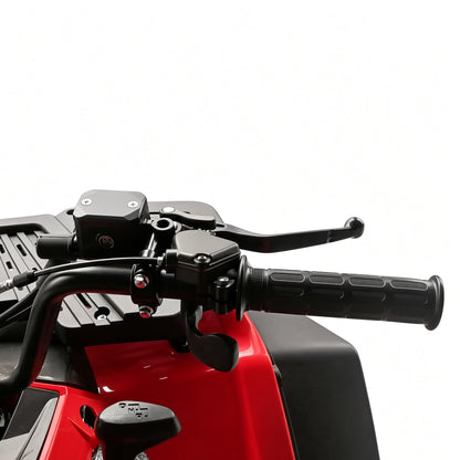 Gamma AS20 ATV 250cc Adult Quad 250cc 4-Stroke 80km/h Top Speed Hydraulic Disc Brake Electric Start