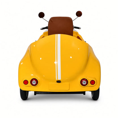 UNICORN Electric Sidecar Trike 60V 2kW Motor 100km Range 25-45km/h 2-Seater Leather Seats