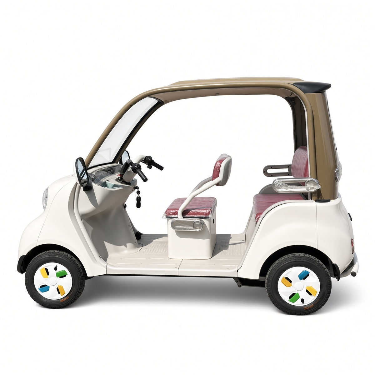 Leisure 4-Wheel Electric Car 800W Dual 18-Tube Controller 3-4 Seater Canopy 50-70km Range