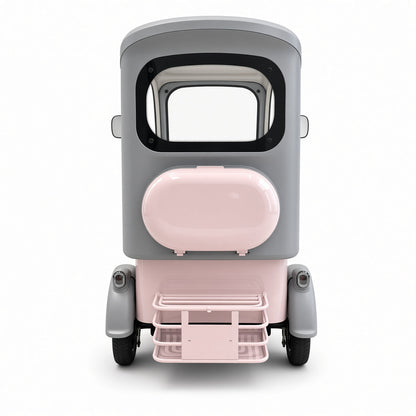 L1 Katie Leisure Electric Tricycle 800W 48V/60V 225kg Rated Load 25km/h