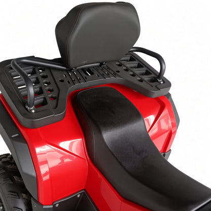 Gamma AS20 ATV 250cc Adult Quad 250cc 4-Stroke 80km/h Top Speed Hydraulic Disc Brake Electric Start
