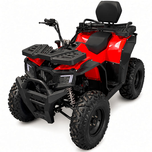 Gamma AS20 ATV 250cc Adult Quad 250cc 4-Stroke 80km/h Top Speed Hydraulic Disc Brake Electric Start