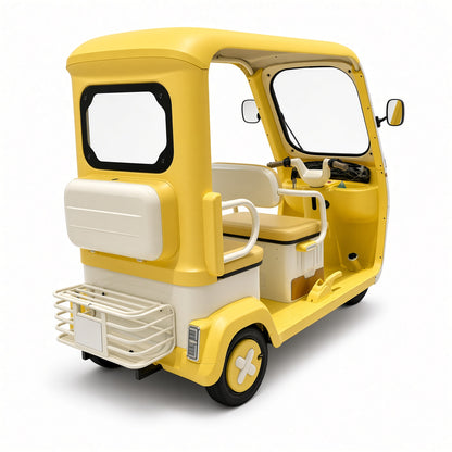 L8 Langxing Leisure Electric Tricycle 800W 48V/60V Front 600mm Rear 900mm Seat 225kg Rated Load