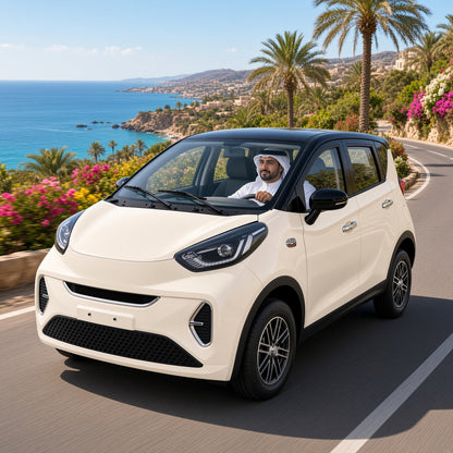 Da Mayi Electric Mini Car 60V/72V 3500W AC Motor 4-Door Closed Body with Built-in Charger