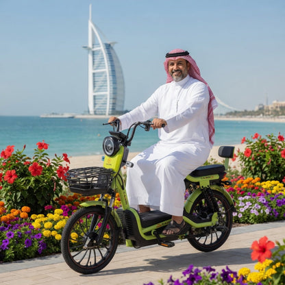 W11 20 Inch Fat Tire Electric Bicycle, Max Assisted Speed 25km/h, 500W, 20Ah
