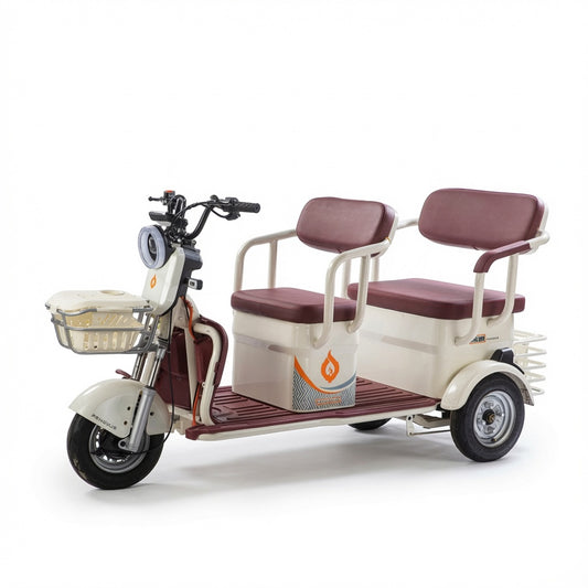 C5 Electric Three Wheel Vehicle 25H Copper Motor 12 Tube Controller Front Rear Tubeless Tires Three Speed Gear Digital LCD Display Two Seat Mobility Vehicle