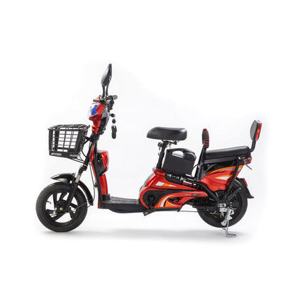 W6 14 Inch Electric Bicycle, Max Assisted Speed 25km/h, 350W, 48V12Ah