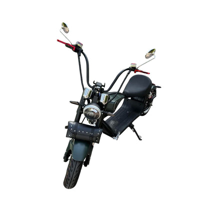 X1  Adult  with 4 Rear Luggage Boxes for Delivery Commute Harley-style motorcycle