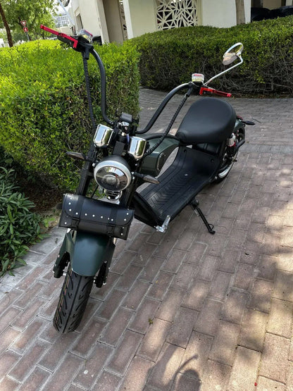 X1  Adult  with 4 Rear Luggage Boxes for Delivery Commute Harley-style motorcycle