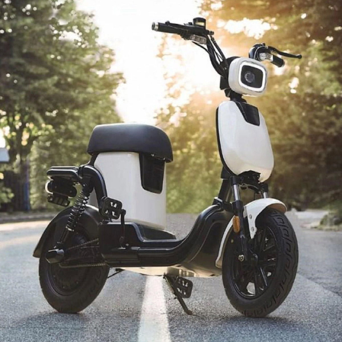 T1 Electric Bicycle 350W Brushless Motor 48V14Ah Lithium Battery City Commuter E Bike Long Range Smart Riding
